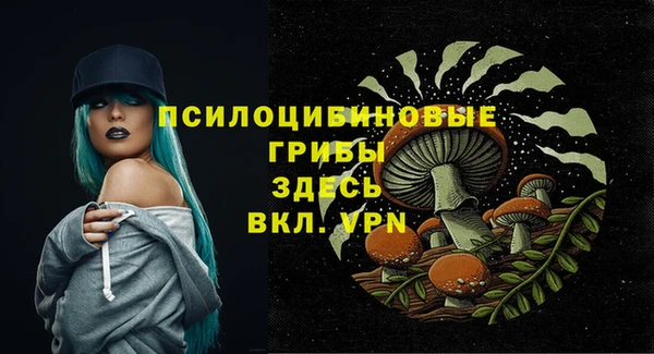 твердый Заводоуковск