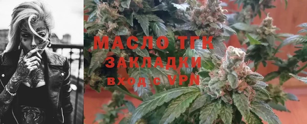 твердый Заводоуковск